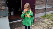 Veiligheidsgordel geel